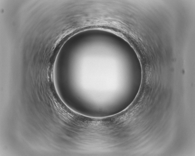 X0000088041497200705111218