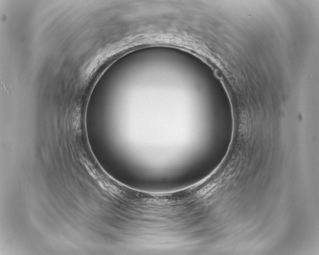 X0000088041499200705111218