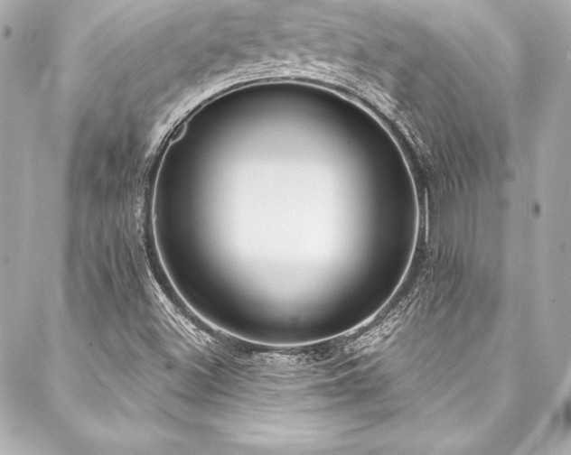 X0000088041500200705111218