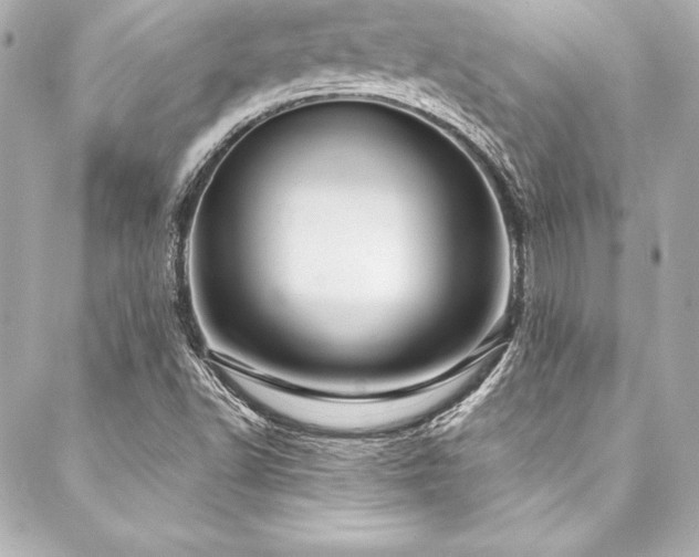 X0000088041502200705111218