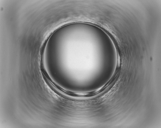 X0000088041508200705111218