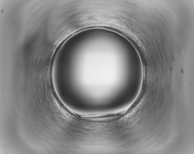 X0000088041513200705111218