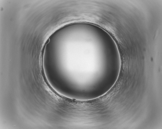 X0000088041516200705111218