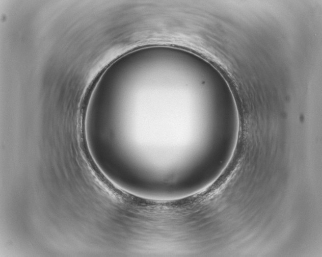 X0000088041517200705111218