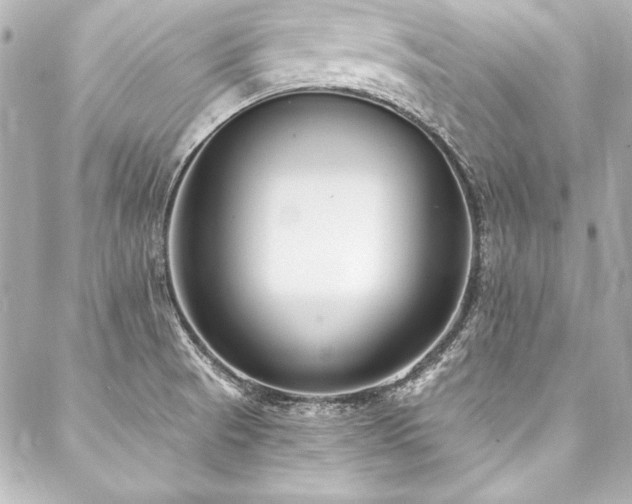 X0000088041521200705111218