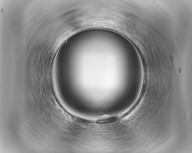X0000088041529200705111218