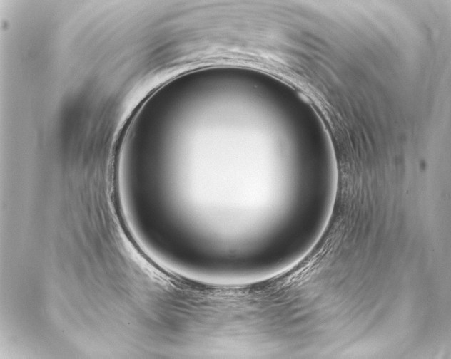 X0000088041531200705111218