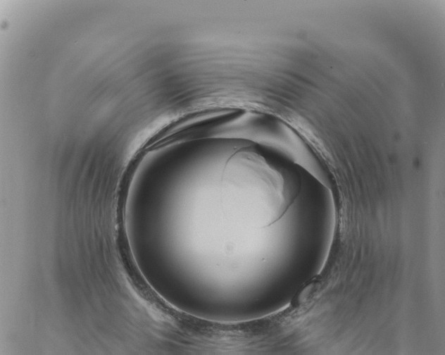 X0000088040438200705182054