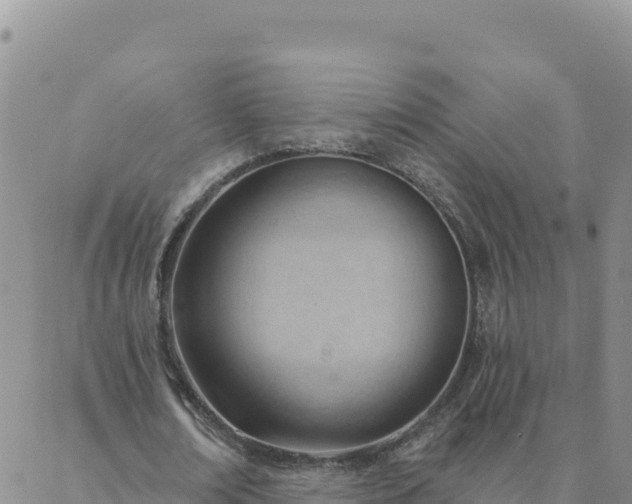 X0000088040674200705182051