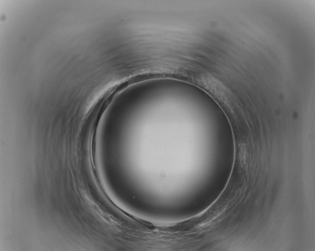 X0000088040676200705182051