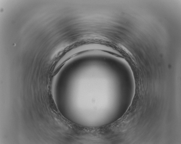 X0000088040775200705182049