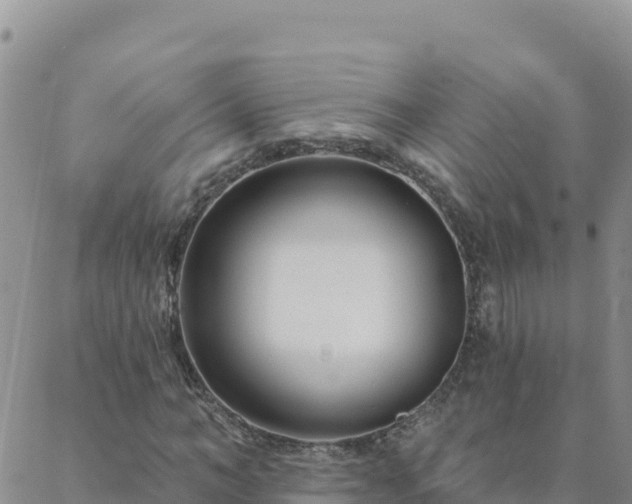 X0000088040966200705182046