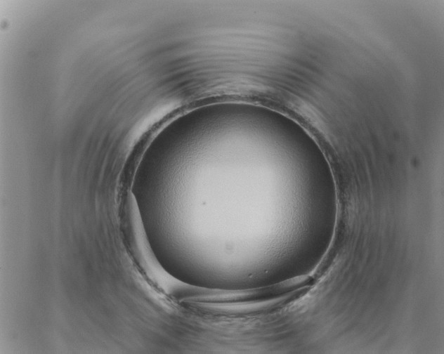 X0000088041026200705182045