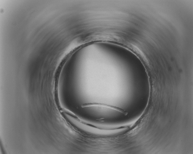 X0000088041035200705182045