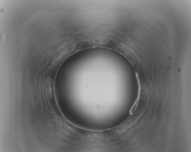 X0000088041058200705182045