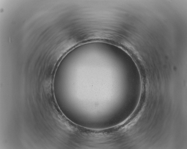 X0000088041121200705182043