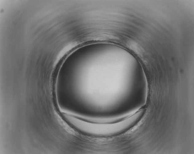 X0000088041122200705182044