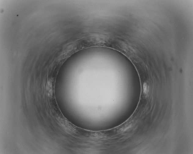 X0000088041203200705182042