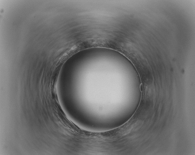 X0000088041250200705182042