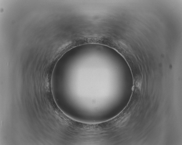X0000088041252200705182042