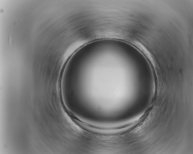 X0000088041293200705182041