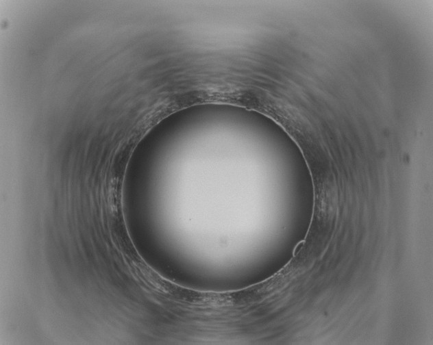 X0000088041346200705182040