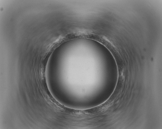 X0000088041348200705182040