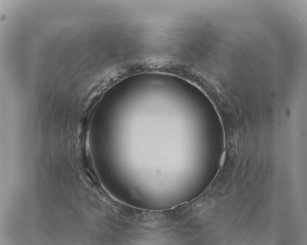X0000088041349200705182040