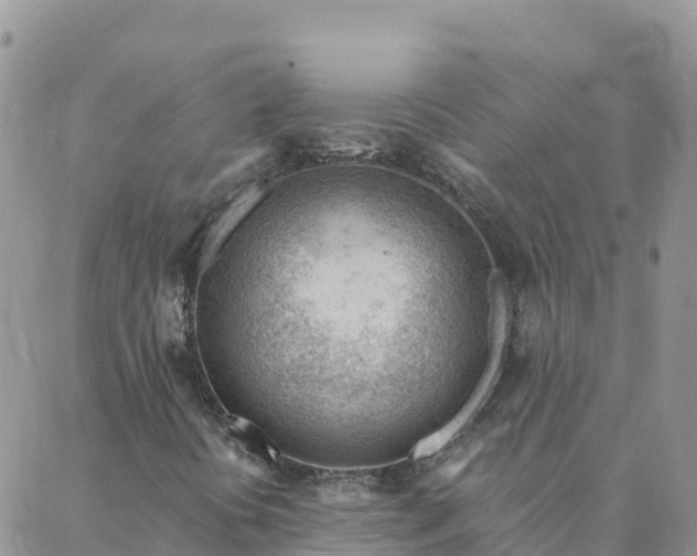 X0000088041394200705182039