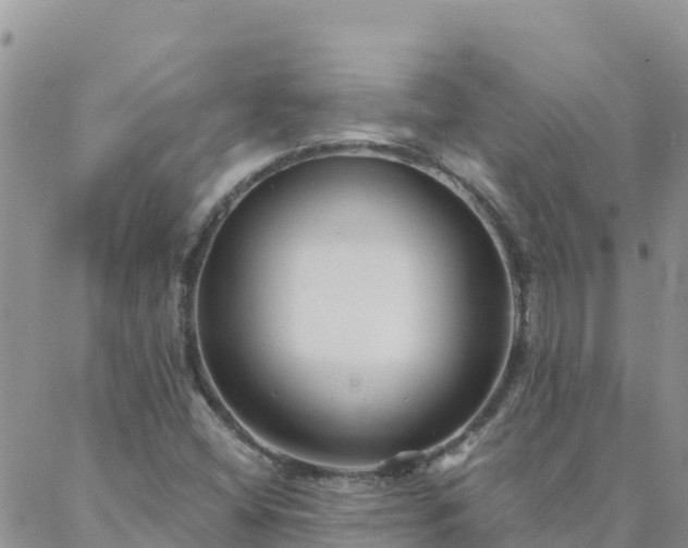 X0000088041404200705182039