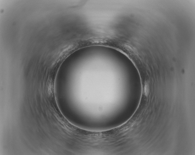 X0000088041444200705182038