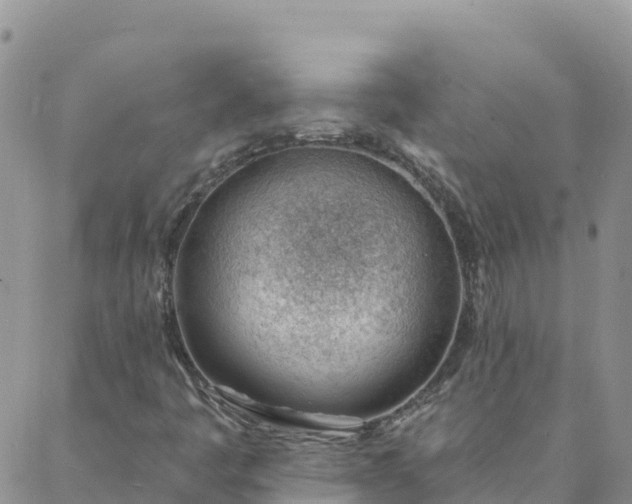 X0000088041445200705182038
