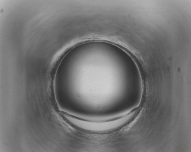 X0000088041502200705182037