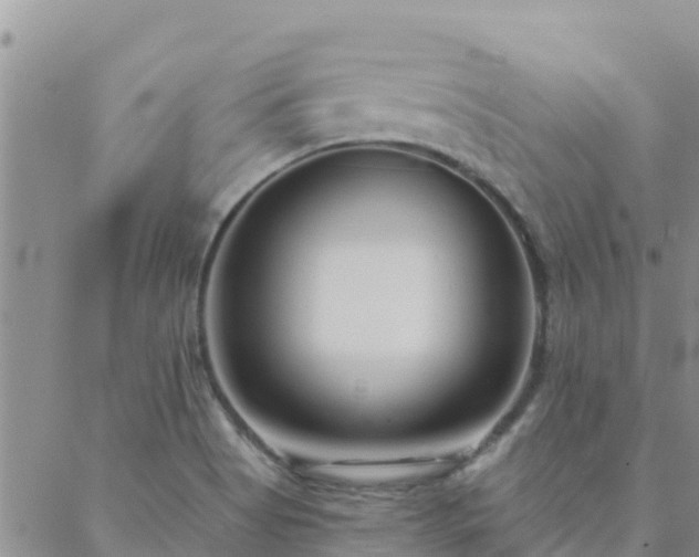 X0000088041513200705182037