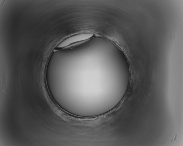 X0000088040001200705251311