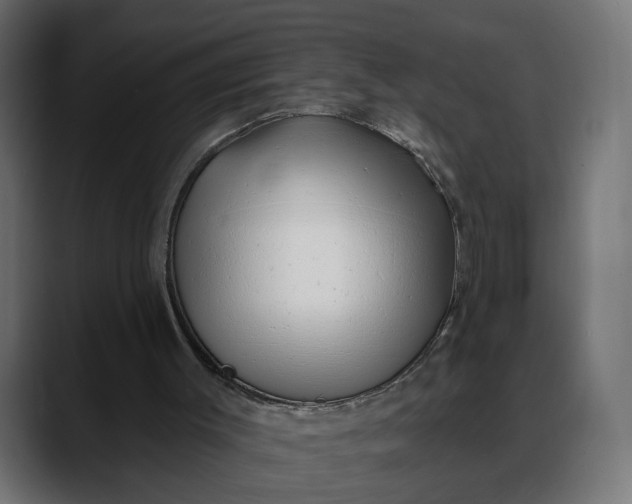 X0000088040003200705251311