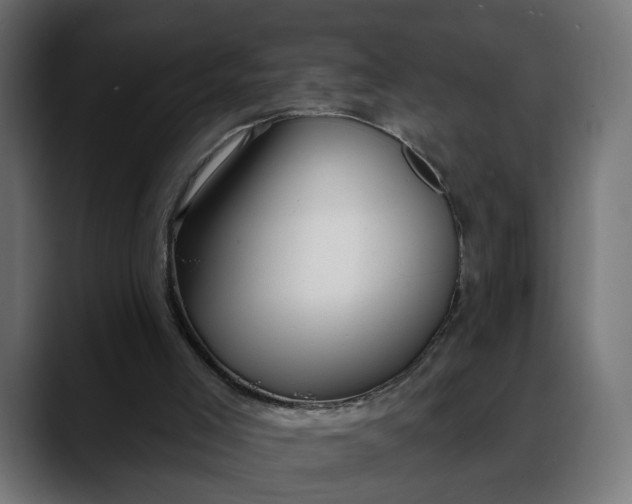 X0000088040005200705251311