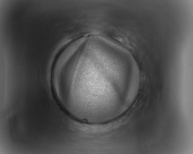 X0000088040006200705251311