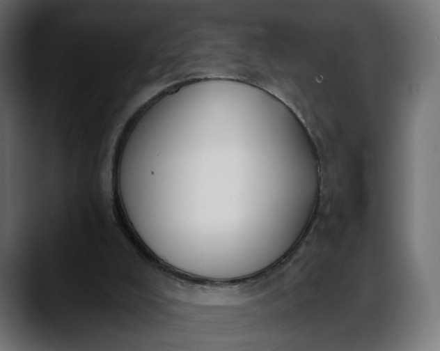 X0000088040008200705251311