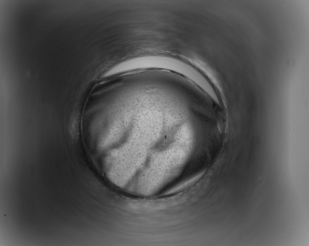 X0000088040009200705251311