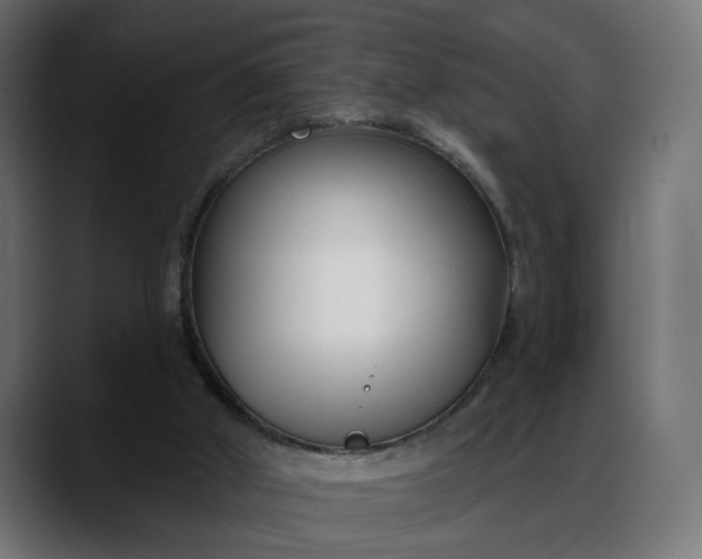 X0000088040010200705251311