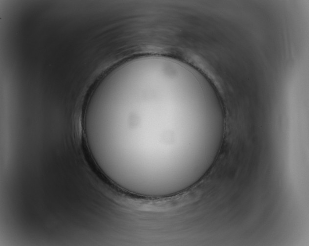 X0000088040011200705251311