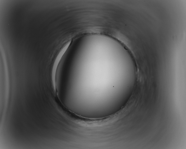 X0000088040013200705251311