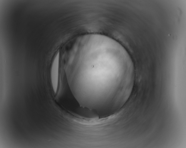 X0000088040019200705251311