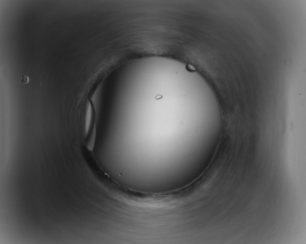 X0000088040020200705251311