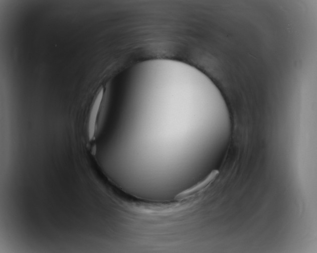 X0000088040021200705251311