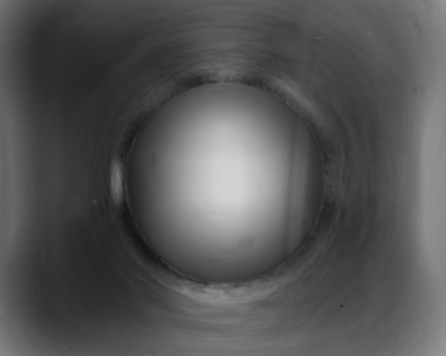 X0000088040022200705251311