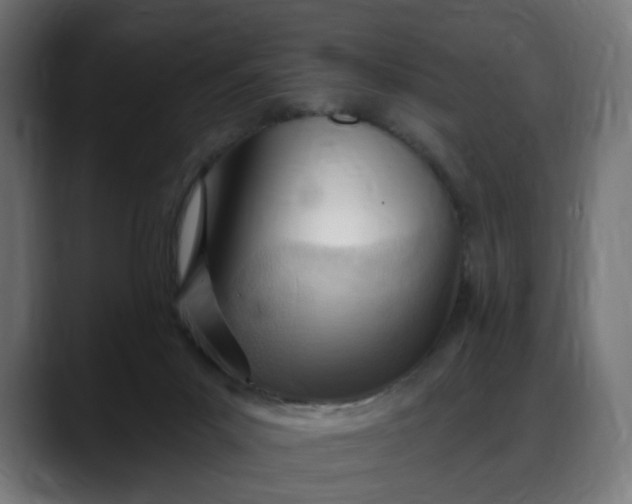 X0000088040023200705251311