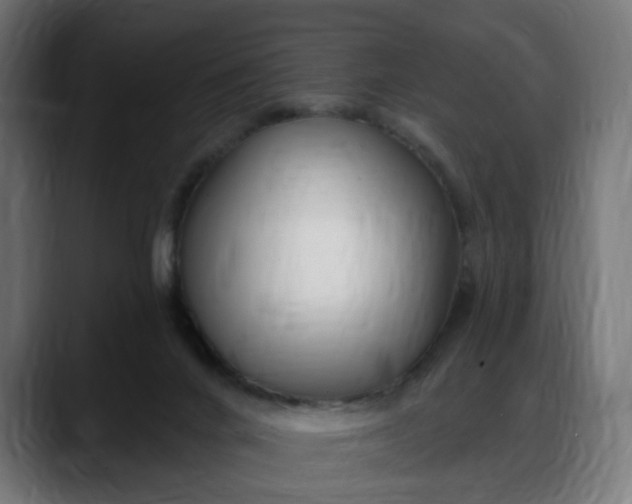 X0000088040024200705251311