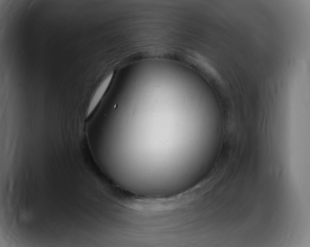 X0000088040025200705251311